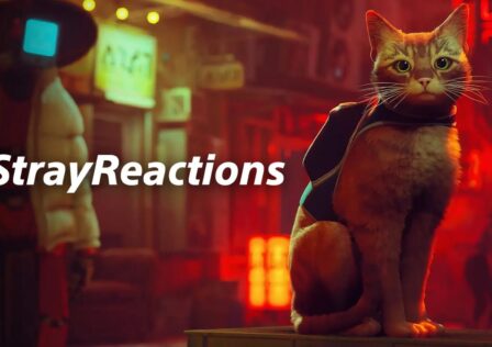 Stray-Reactions-Charity-Event-PlayStation-Main.jpg