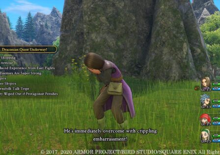 Dragon-Quest-screenshot.jpg