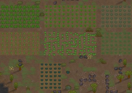 rimword-farm.jpg