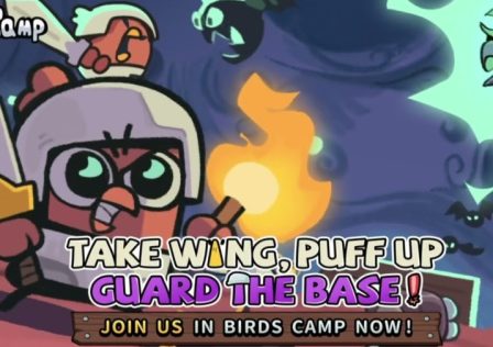 birds-camp-launch-header.jpg