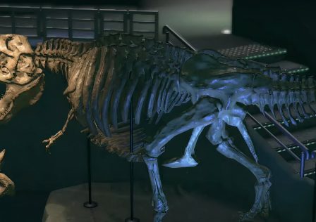 animal-crossing-trex-fossil-museum.jpg