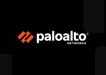 palo.jpg