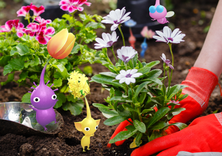 pikmin-bloom-flowers.png