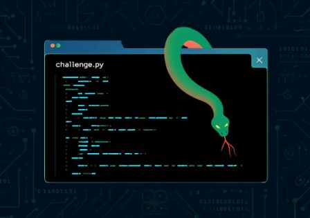 python.jpg