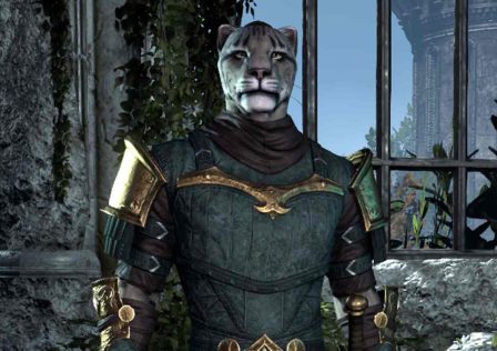 the-elder-scrolls-online-khajit.jpg