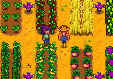 the-farmer-standing-next-to-the-scarecrow-surrounded-by-crops-in-stardew-valley.jpg