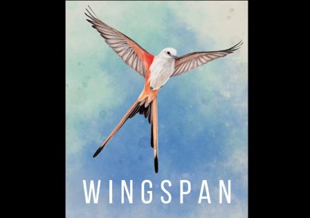 wingspan-lawsuit.jpg