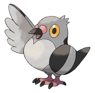 519.png