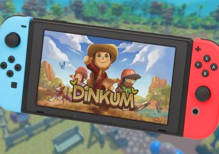 dinkum-switch.jpg