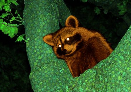 the_real_tom_nook_2-1152×648.jpg