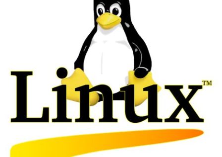 kisspng-penguin-logo-linux-brand-font-difference-between-linux-and-window-operating-syst-5b6d4985f41774.9466845715338889019998-732×330.jpg