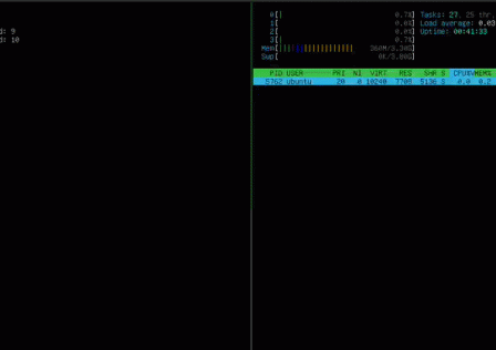 XQUIC-demo.gif