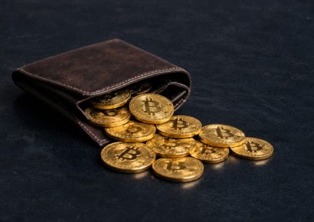crypto-wallet.jpg