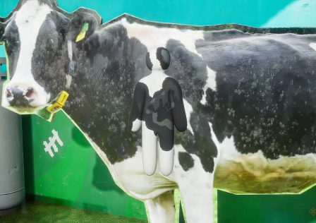 meccha-chameleon-player-hiding-on-a-cow.jpg