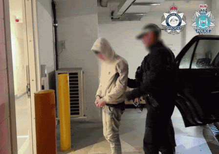 TeamPCP-arrest.gif