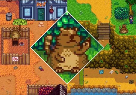 collage-image-of-stardew-valley-s-trash-bear-at-the-dog-pen-by-the-sewers-and-a-close-up.jpg