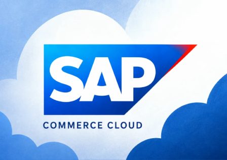 sap-flaw.jpg