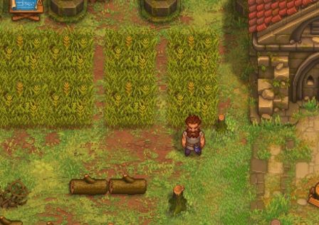 gardening-farming-graveyard-keeper-2.jpg
