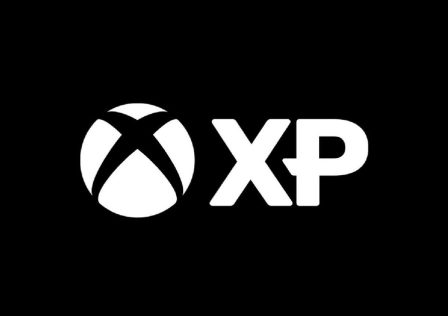 MS-XP.jpg
